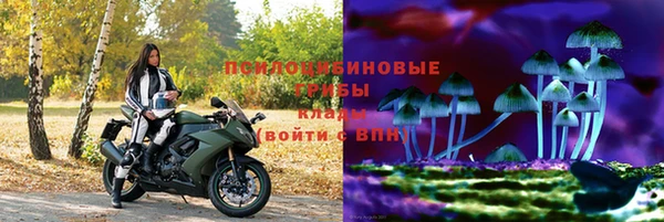 прущая мука Верея