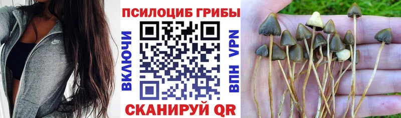 Галлюциногенные грибы мухоморы  Сосногорск 